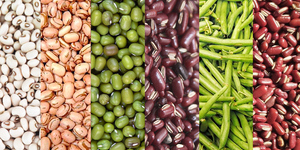 Unveil 8a21a6f614db065bb1ca2c21a5c803aede783f93e5277febbd47f37d9dbae4ca