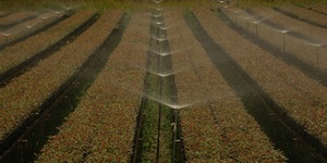 Unveil 8a21a6f614db065bb1ca2c21a5c803aede783f93e5277febbd47f37d9dbae4ca