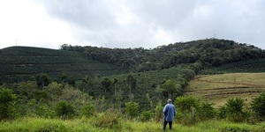 Unveil 8a21a6f614db065bb1ca2c21a5c803aede783f93e5277febbd47f37d9dbae4ca