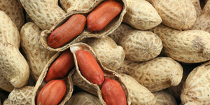 Unveil 8a21a6f614db065bb1ca2c21a5c803aede783f93e5277febbd47f37d9dbae4ca