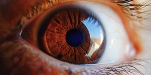 Unveil 8a21a6f614db065bb1ca2c21a5c803aede783f93e5277febbd47f37d9dbae4ca