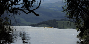 Unveil 8a21a6f614db065bb1ca2c21a5c803aede783f93e5277febbd47f37d9dbae4ca