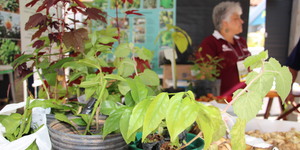 Unveil 8a21a6f614db065bb1ca2c21a5c803aede783f93e5277febbd47f37d9dbae4ca