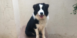 Unveil 8a21a6f614db065bb1ca2c21a5c803aede783f93e5277febbd47f37d9dbae4ca