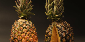 Unveil 8a21a6f614db065bb1ca2c21a5c803aede783f93e5277febbd47f37d9dbae4ca