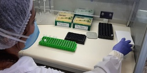 Unveil 8a21a6f614db065bb1ca2c21a5c803aede783f93e5277febbd47f37d9dbae4ca