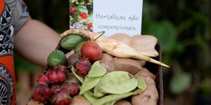 Unveil 8a21a6f614db065bb1ca2c21a5c803aede783f93e5277febbd47f37d9dbae4ca