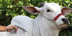 Unveil 8a21a6f614db065bb1ca2c21a5c803aede783f93e5277febbd47f37d9dbae4ca