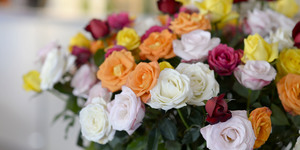 Unveil 8a21a6f614db065bb1ca2c21a5c803aede783f93e5277febbd47f37d9dbae4ca