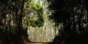 Unveil 8a21a6f614db065bb1ca2c21a5c803aede783f93e5277febbd47f37d9dbae4ca