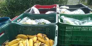 Unveil 8a21a6f614db065bb1ca2c21a5c803aede783f93e5277febbd47f37d9dbae4ca