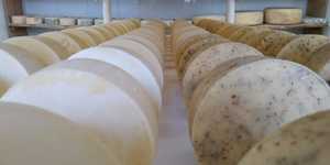 Unveil 8a21a6f614db065bb1ca2c21a5c803aede783f93e5277febbd47f37d9dbae4ca