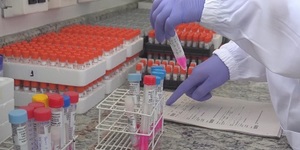 Unveil 8a21a6f614db065bb1ca2c21a5c803aede783f93e5277febbd47f37d9dbae4ca