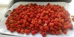 Unveil 8a21a6f614db065bb1ca2c21a5c803aede783f93e5277febbd47f37d9dbae4ca