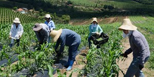 Unveil 8a21a6f614db065bb1ca2c21a5c803aede783f93e5277febbd47f37d9dbae4ca