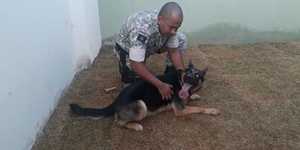 Unveil 8a21a6f614db065bb1ca2c21a5c803aede783f93e5277febbd47f37d9dbae4ca