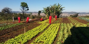 Unveil 8a21a6f614db065bb1ca2c21a5c803aede783f93e5277febbd47f37d9dbae4ca