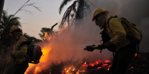 Unveil 8a21a6f614db065bb1ca2c21a5c803aede783f93e5277febbd47f37d9dbae4ca