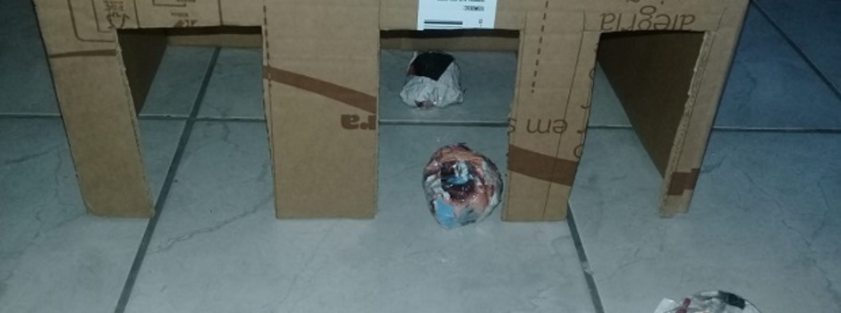 imagem de destaque