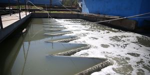 Unveil 8a21a6f614db065bb1ca2c21a5c803aede783f93e5277febbd47f37d9dbae4ca