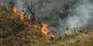 Unveil 8a21a6f614db065bb1ca2c21a5c803aede783f93e5277febbd47f37d9dbae4ca