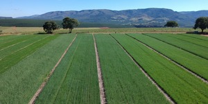 Unveil 8a21a6f614db065bb1ca2c21a5c803aede783f93e5277febbd47f37d9dbae4ca