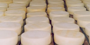 Unveil 8a21a6f614db065bb1ca2c21a5c803aede783f93e5277febbd47f37d9dbae4ca