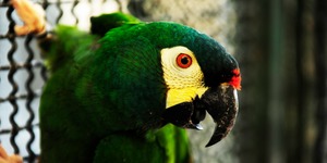 Unveil 8a21a6f614db065bb1ca2c21a5c803aede783f93e5277febbd47f37d9dbae4ca