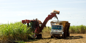 Unveil 8a21a6f614db065bb1ca2c21a5c803aede783f93e5277febbd47f37d9dbae4ca