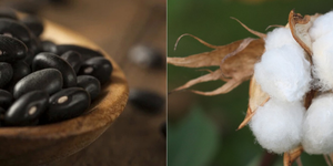 Unveil 8a21a6f614db065bb1ca2c21a5c803aede783f93e5277febbd47f37d9dbae4ca