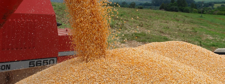 imagem de destaque