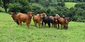 Unveil 8a21a6f614db065bb1ca2c21a5c803aede783f93e5277febbd47f37d9dbae4ca