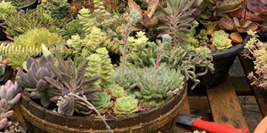 Unveil 8a21a6f614db065bb1ca2c21a5c803aede783f93e5277febbd47f37d9dbae4ca