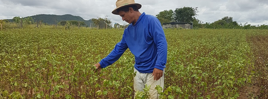 imagem de destaque