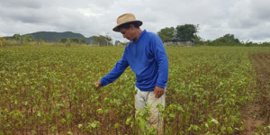 Unveil 8a21a6f614db065bb1ca2c21a5c803aede783f93e5277febbd47f37d9dbae4ca