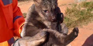 Unveil 8a21a6f614db065bb1ca2c21a5c803aede783f93e5277febbd47f37d9dbae4ca