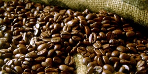 Unveil 8a21a6f614db065bb1ca2c21a5c803aede783f93e5277febbd47f37d9dbae4ca