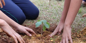 Unveil 8a21a6f614db065bb1ca2c21a5c803aede783f93e5277febbd47f37d9dbae4ca