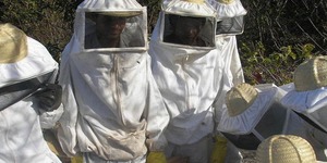 Unveil 8a21a6f614db065bb1ca2c21a5c803aede783f93e5277febbd47f37d9dbae4ca