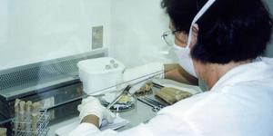 Unveil 8a21a6f614db065bb1ca2c21a5c803aede783f93e5277febbd47f37d9dbae4ca