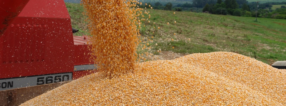 imagem de destaque