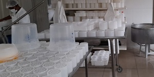 Unveil 8a21a6f614db065bb1ca2c21a5c803aede783f93e5277febbd47f37d9dbae4ca