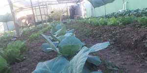 Unveil 8a21a6f614db065bb1ca2c21a5c803aede783f93e5277febbd47f37d9dbae4ca