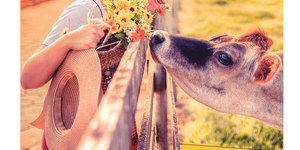 Unveil 8a21a6f614db065bb1ca2c21a5c803aede783f93e5277febbd47f37d9dbae4ca