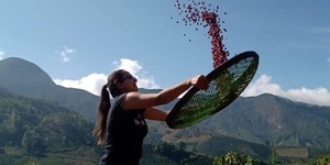 Unveil 8a21a6f614db065bb1ca2c21a5c803aede783f93e5277febbd47f37d9dbae4ca