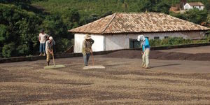 Unveil 8a21a6f614db065bb1ca2c21a5c803aede783f93e5277febbd47f37d9dbae4ca