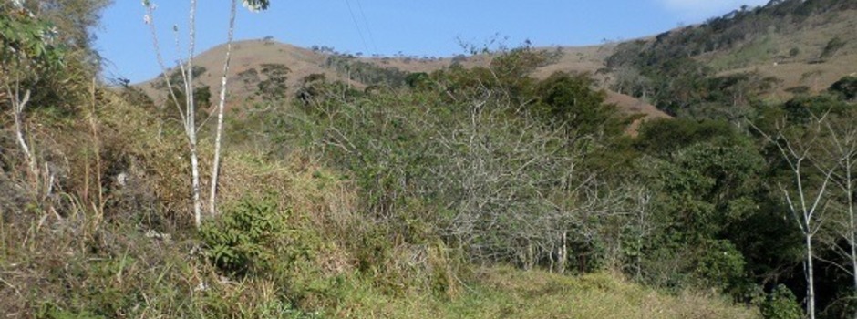 imagem de destaque