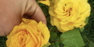 Unveil 8a21a6f614db065bb1ca2c21a5c803aede783f93e5277febbd47f37d9dbae4ca