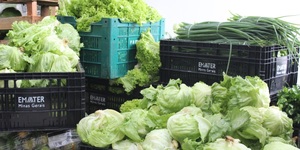 Unveil 8a21a6f614db065bb1ca2c21a5c803aede783f93e5277febbd47f37d9dbae4ca