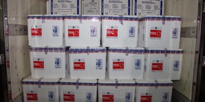 Unveil 8a21a6f614db065bb1ca2c21a5c803aede783f93e5277febbd47f37d9dbae4ca